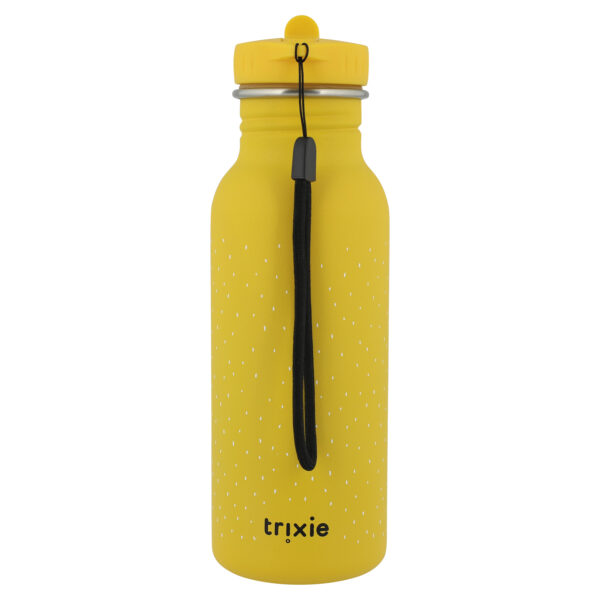 Nerezová fľaša na pitie 500ml Trixie Mr. Lion - Image 2