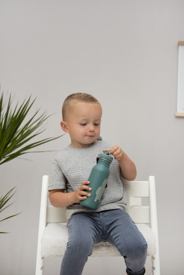 Nerezová fľaša na pitie 500ml Trixie Mr. Hippo - Image 3